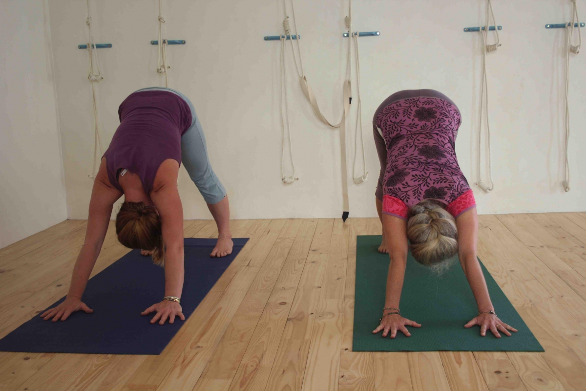 MyYogaGallery31    