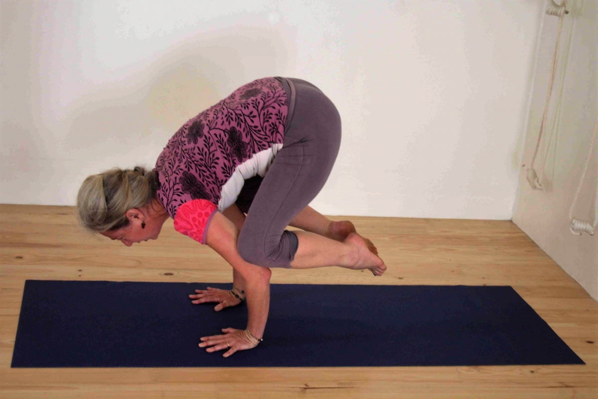 MyYogaGallery34    